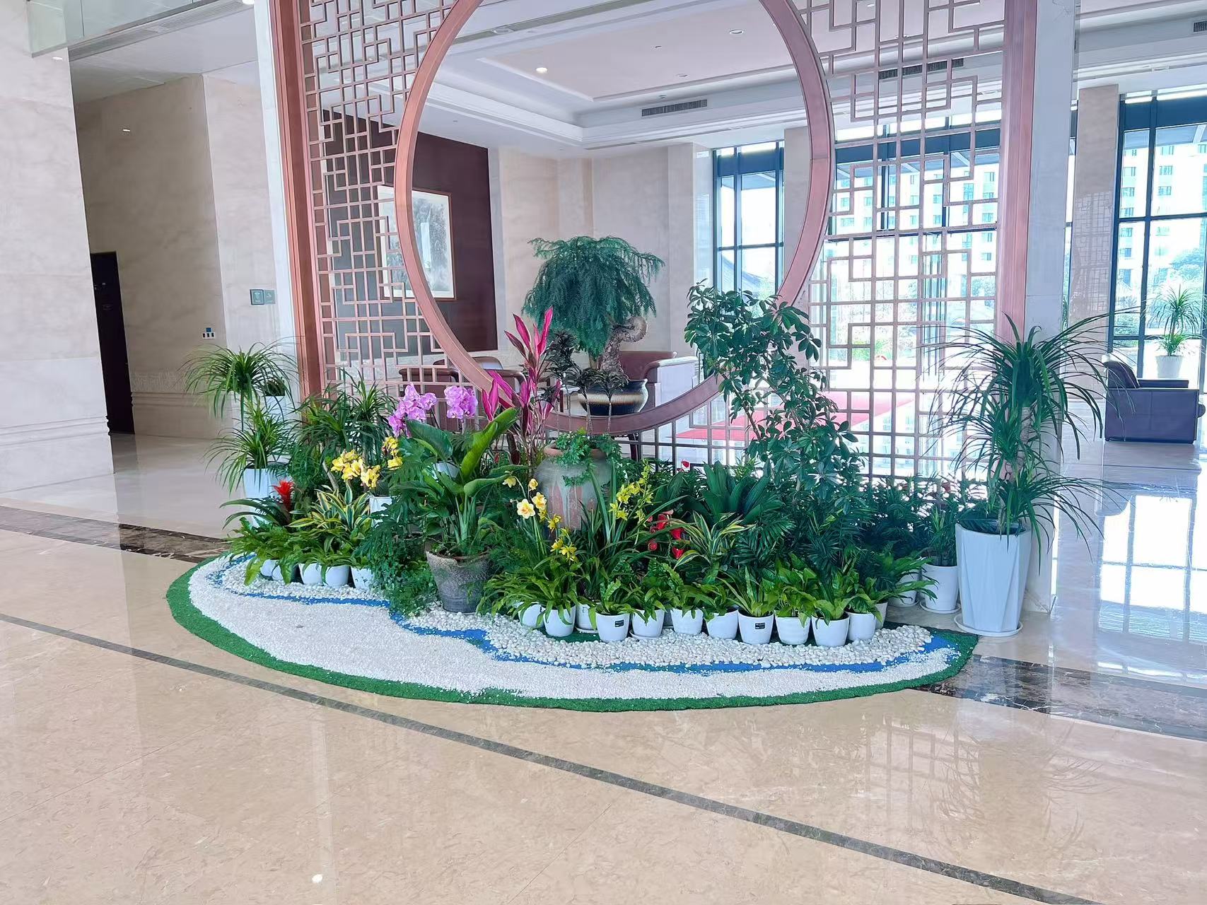 宁波江北植物租摆公司