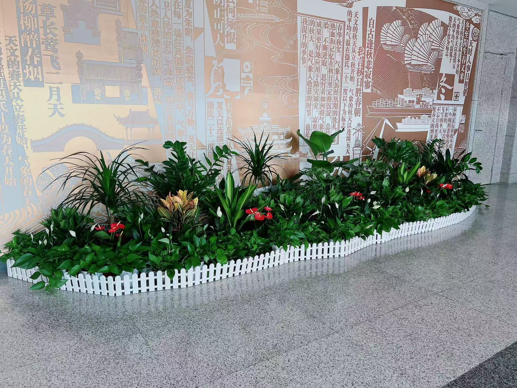 江北植物租赁价格实惠